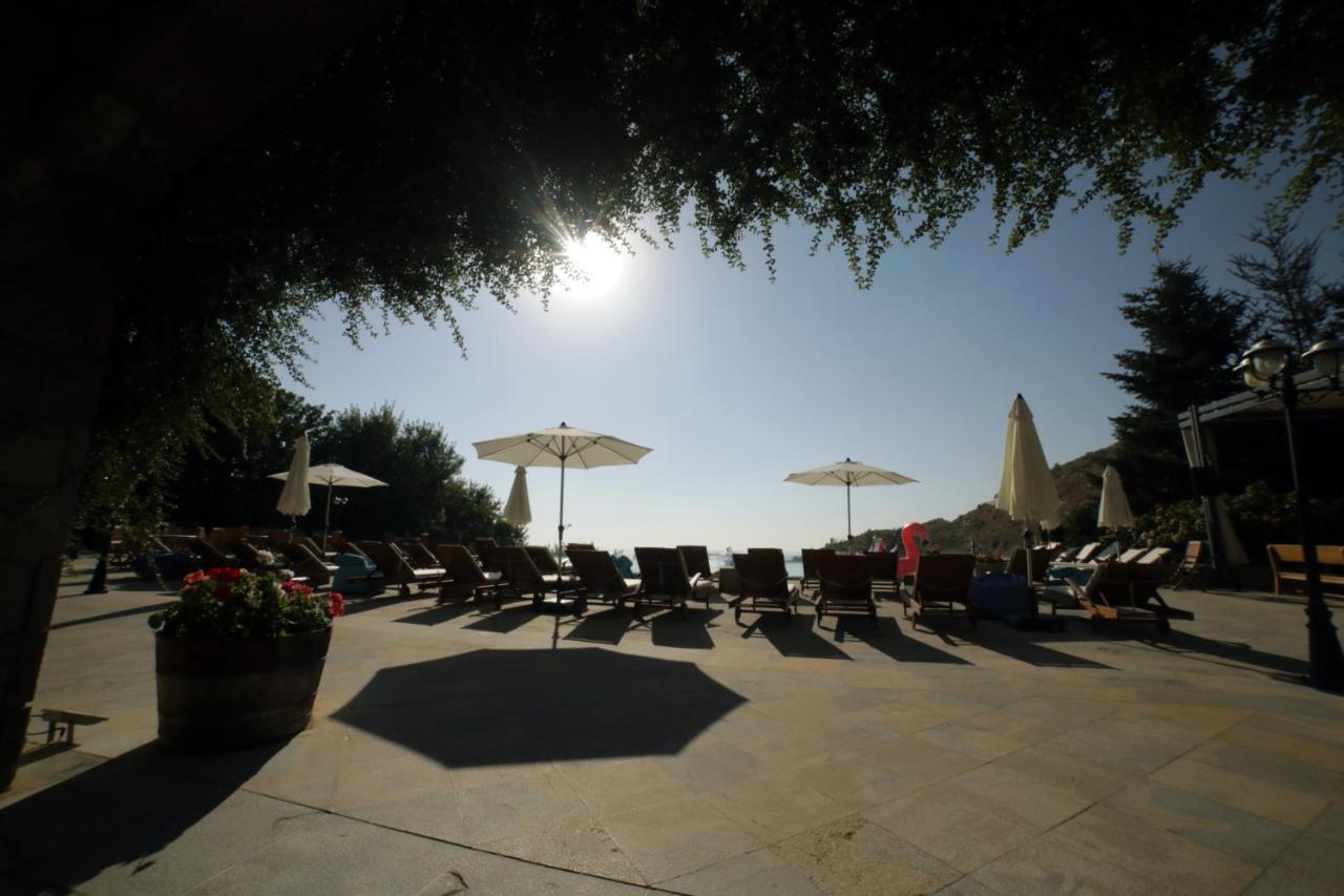 Terre Brune Hotel Mzaar Kfardebian Екстериор снимка